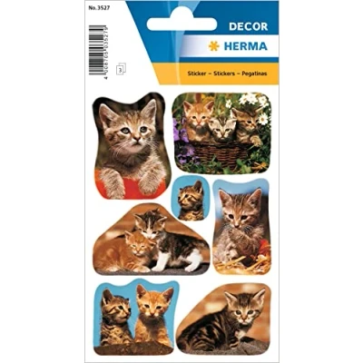 Abbildung von HERMA 3527 Tiere Sticker, Katzenfotos (21 Aufkleber, Papier, matt) selbstklebend, permanent haftende Motiv Etiketten für Mädchen und Jungen, bunt