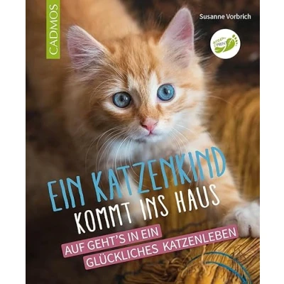 Abbildung von ein Katzenkind kommt ins Haus: Auf geht&#039;s in glückliches Katzenleben