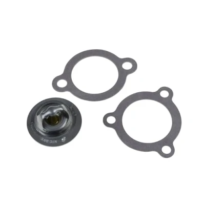 Abbildung von Blue Print ADD69205 Thermostat mit Dichtungen , 1 Stück