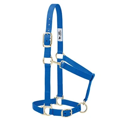 Abbildung von Weaver Leather Basic Halfter aus Nylon, verstellbar, 2,5 cm, Blau