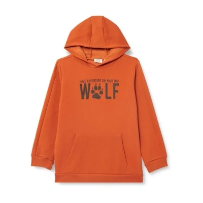 Abbildung von Koton Boys Hoodie Long Sleeve Kangaroo Pocket Printed Detail Brushed Interior