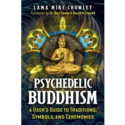 Abbildung von Psychedelic Buddhism: A User&#039;s Guide to Traditions, Symbols, and Ceremonies