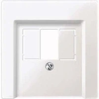 Abbildung von Schneider Electric Merten 298019 Zentralplatte für TAE AudioUSB, System M, polarweiß glänzend