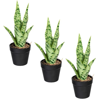 Abbildung von Creativ green Kunstpflanze &quot;Sanseveria&quot;, im 3er Set