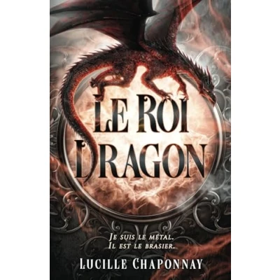 Abbildung von Le Roi Dragon: Une romantasy One Shot