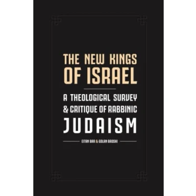 Abbildung von The New Kings of Israel: A Theological Survey and Critique Rabbinic Judaism (Jewish Christian Relations, Band 7)