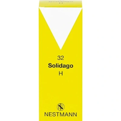 Abbildung von Solidago H 32 Tropfen 100 ml