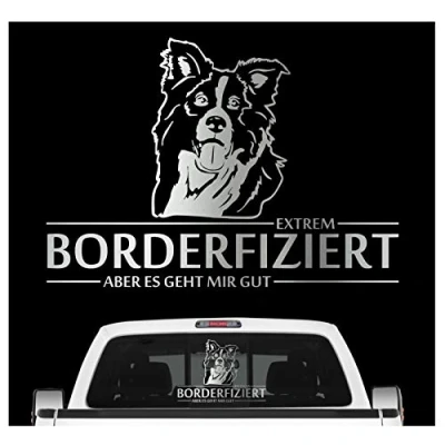 Abbildung von siviwonder Auto Aufkleber Border Collie Hund INFIZIERT Hundeaufkleber 30cm Silber metallic