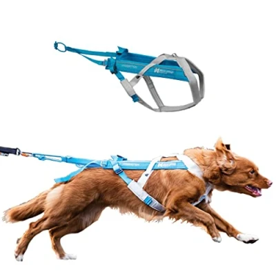Abbildung von Non stop dogwear FREEMOTION Harness 5.0 111 Blue/Grey Hunde Geschirr für alle Sportarten, Größe:5