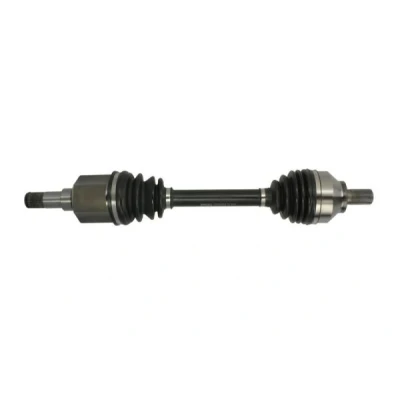 Abbildung von Antriebswelle PASCAL G2V005PC