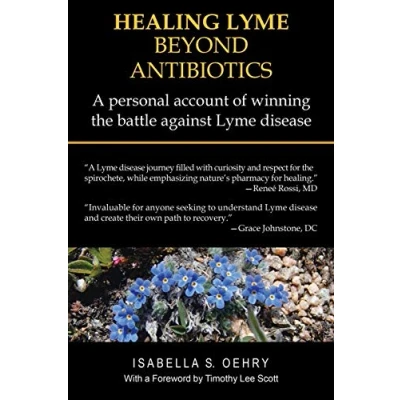 Abbildung von HEALING Lyme BEYOND ANTIBIOTICS: A personal account of winning the battle against disease