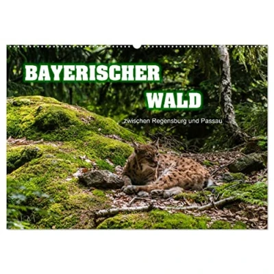 Abbildung von Bayerischer Wald (Wandkalender 2025 DIN A2 quer), CALVENDO Monatskalender