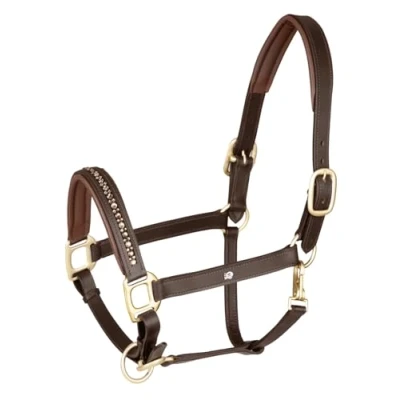 Abbildung von Waldhausen Lederhalfter Crystal Pony Braun / Gold