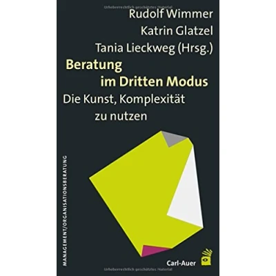Abbildung von Beratung im Dritten Modus: Die Kunst, Komplexität zu nutzen