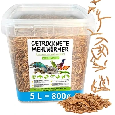 Abbildung von Mehlwürmer getrocknet, 800g (entspricht 5 L) getrocknete im praktischen Eimer, proteinreicher Snack für Wildvögel, Fische, Reptilien und Nager