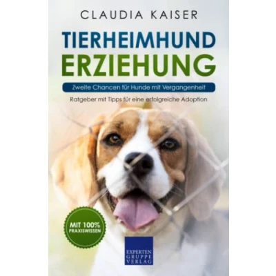 Abbildung von Tierheimhund Erziehung Zweite Chancen für Hunde mit Vergangenheit: Ratgeber Tipps eine erfolgreiche Adoption