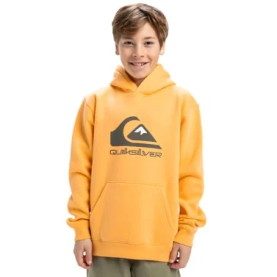 Abbildung von Quiksilver Big Logo Hoodie Pullover aus Fleece Kind