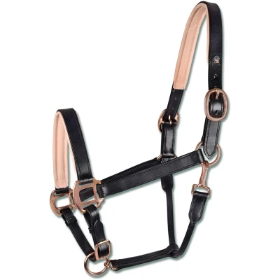 Abbildung von Waldhausen Halfter X Line Rosé Leder Schwarz Warmblut