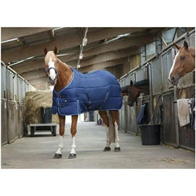 Abbildung von Riding World Stalldecke 175cm