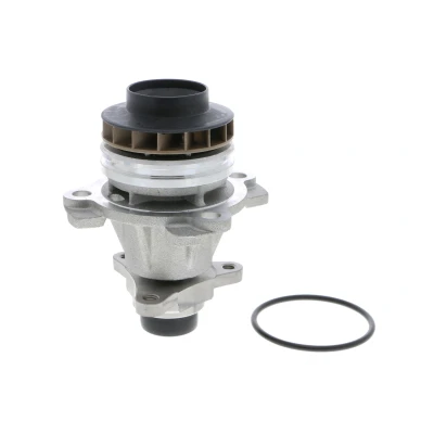 Abbildung von ACKOJA A38 50011 Wasserpumpe mechanisch Flügelrad aus Kunststoff RENAULT: MASTER 3 Kasten, Bus, Pritsche/Fahrgestell