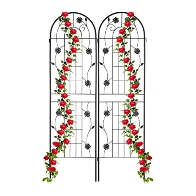 Abbildung von relaxdays Rankgitter 2er Set 180 cm