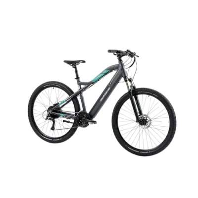 Abbildung von F.lli Schiano Unisex Adult E Mercury Bike, Grau Grün, 29 Zoll