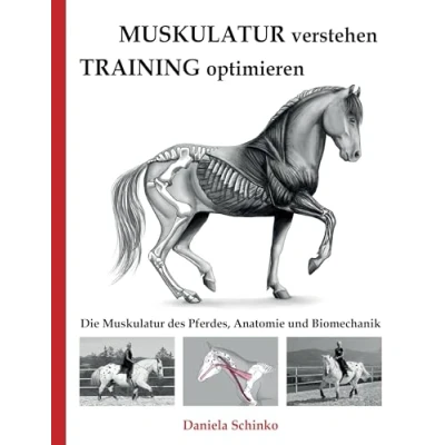 Abbildung von Muskulatur verstehen Training optimieren: Die des Pferdes, Anatomie und Biomechanik