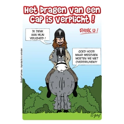 Abbildung von HB Stalplaat Cap