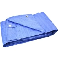 Abbildung von Geko Plane 12x15m hell/blau +/ 5%(2)
