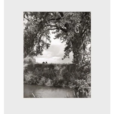 Abbildung von Cottonwoods: Photographs, and a Conversation About Picture making in the American West