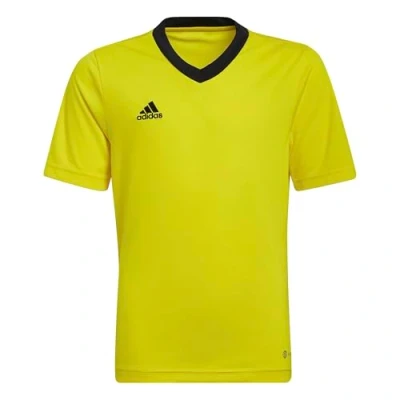 Abbildung von adidas Performance Entrada 22 FußballTrikot Team yellow black für Kinder, Größe: 152,