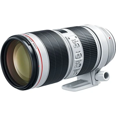 Abbildung von Canon EF 70 200mm F2.8L IS III USM Objektiv (77mm Filtergewinde) schwarz