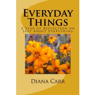 Abbildung von Everyday Things: A Year of Reflection on Just About Everything