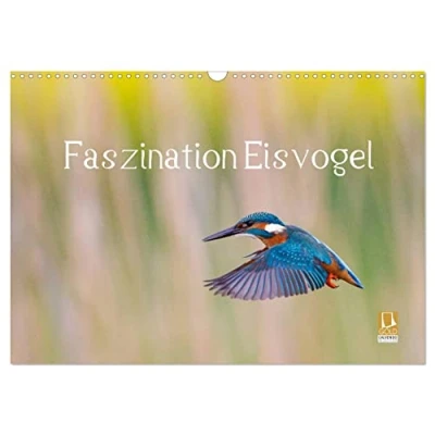 Abbildung von Faszination Eisvogel (Wandkalender 2025 DIN A3 quer), CALVENDO Monatskalender