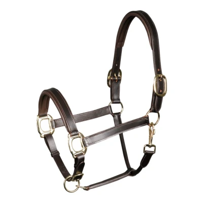 Abbildung von Harry&#039;s Horse Halfter Leder, gepolstert Cob Braun