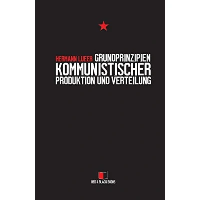 Abbildung von Grundprinzipien kommunistischer Produktion und Verteilung (Kapitalismuskritik die Frage nach der Alternative, Band 3)