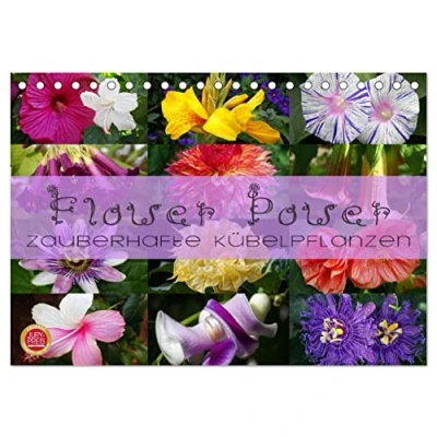 Abbildung von Flower Power Zauberhafte Kübelpflanzen (Tischkalender 2025 DIN A5 quer), CALVENDO Monatskalender