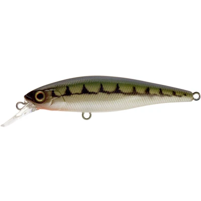 Abbildung von Illex Squad Minnow 65 SP Vairon Wobbler