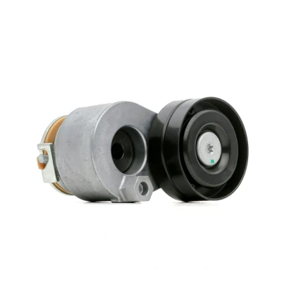 Abbildung von RIDEX 310T0299 Spannrolle OPEL: Vivaro A Kastenwagen, NISSAN: Interstar RENAULT: TRAFIC 2 Bus