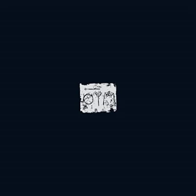 Abbildung von The Woods [Vinyl LP]