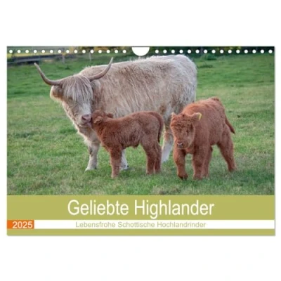Abbildung von Geliebte Highlander (Wandkalender 2025 DIN A4 quer), CALVENDO Monatskalender
