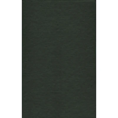 Abbildung von Companion to Endgame at Stalingrad (Modern War Studies)