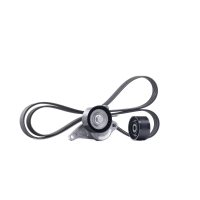 Abbildung von SKF VKMA 36084 Keilrippenriemensatz RENAULT: Koleos I, ESPACE 4, LAGUNA 3 Grandtour, NISSAN: Qashqai / Qashqai+2 X Trail