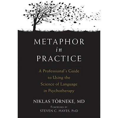 Abbildung von Metaphor in Practice: A Professional&#039;s Guide to Using the Science of Language Psychotherapy