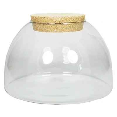 Abbildung von INNA Glas Aufbewahrungsglas mit Korkdeckel MARENO, klar, 17 cm, Ø 24 cm Vorratsglas