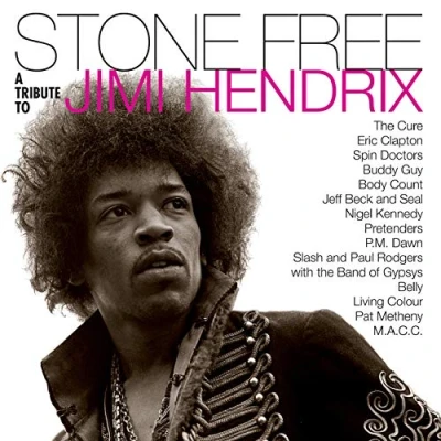Abbildung von Stone Free:Jimi Hendrix Tribute [Vinyl LP]