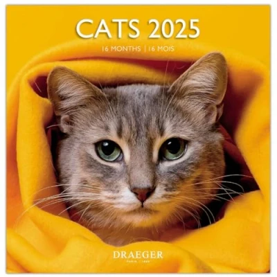 Abbildung von Großer Wandkalender 29 x cm 2025 September 2024 bis Dezember Katze