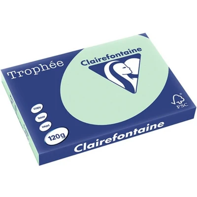 Abbildung von Clairefontaine Kopierpapier Trophee A3 120g/qm VE=250 Blatt apfelgrün