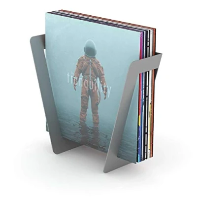 Abbildung von Glorious Vinyl Set Holder superior für bis zu 25 Schallplatten, massives Metall, einfache Montage, formschöner Einrichtungsgegenstand, silber, DJ