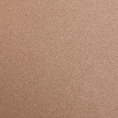 Abbildung von Clairefontaine 97874C Packung (mit 25 Bögen Zeichenpapier Maya, DIN A1, 59,4 x 84 cm, 120g, glatt, ideal für Trockentechnik und Einrahmen) braun